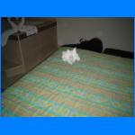 Vacation 036.jpg